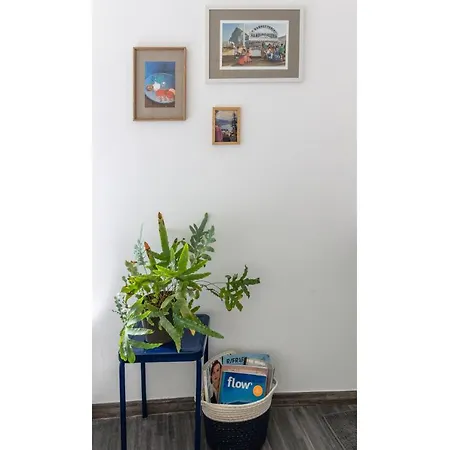 Cosy & Homey Rumpusroom Antwerp
